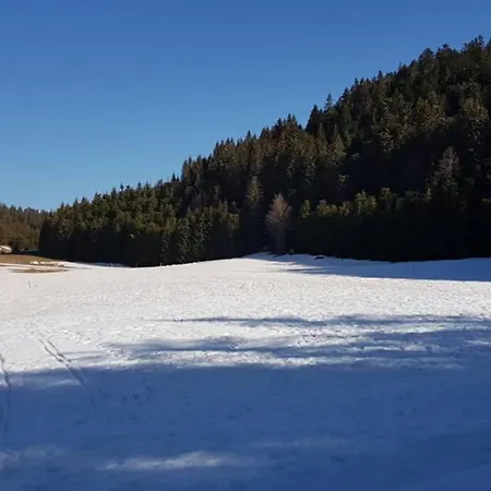 Appartement Dans Le Massif Du Haut Jura Dortan Exterior foto