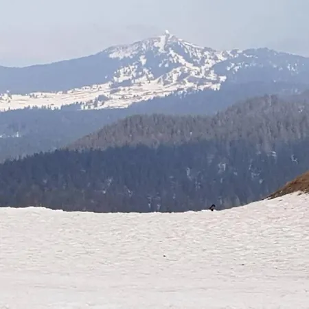 Appartement Dans Le Massif Du Haut Jura Dortan Exterior foto