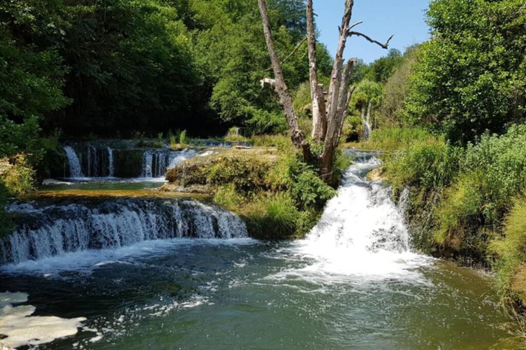 Dans Le Massif Du Jura